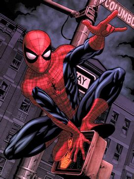 spider man wikipedia|More.